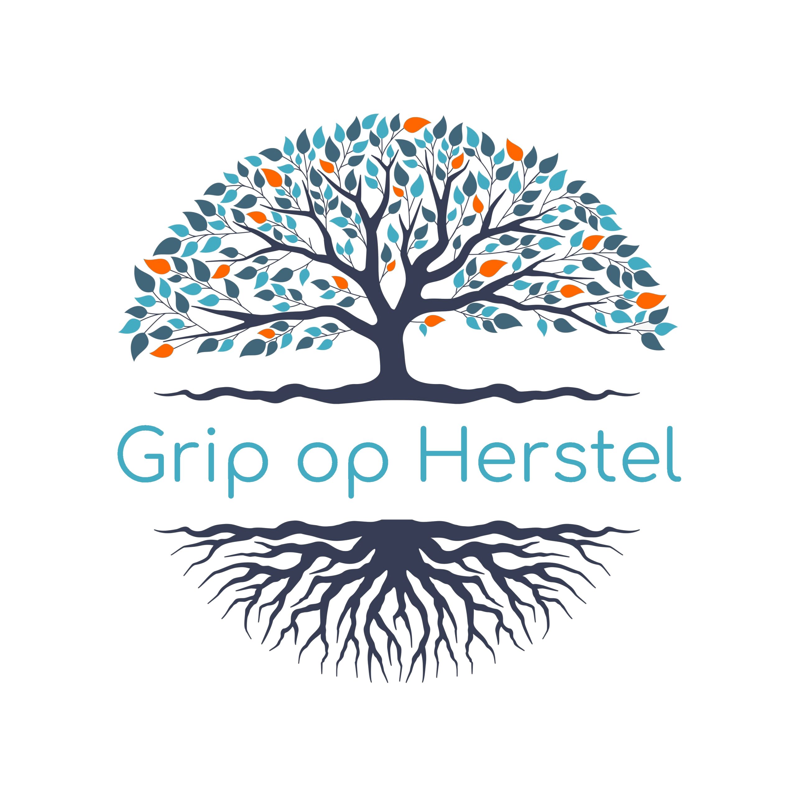 Grip op Herstel holistische coach, NEI, agogisch boksen